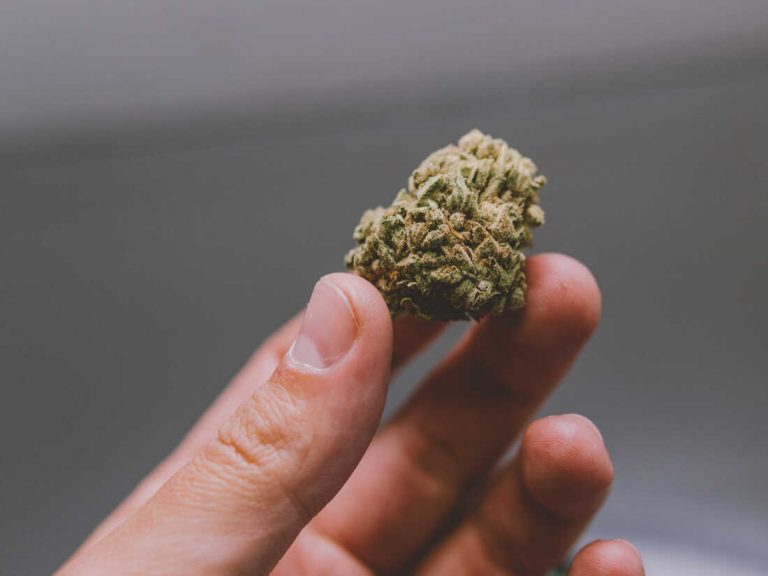 hash delivery toronto